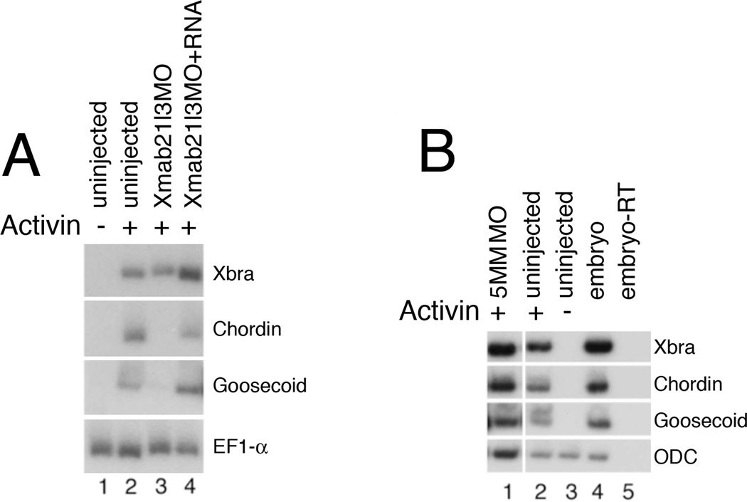 Fig.6