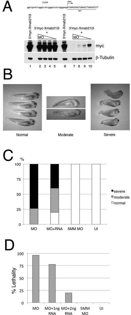 Fig.5