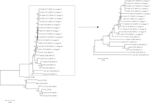 FIG 2 