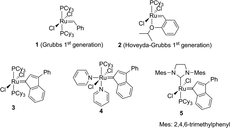 Fig. 1