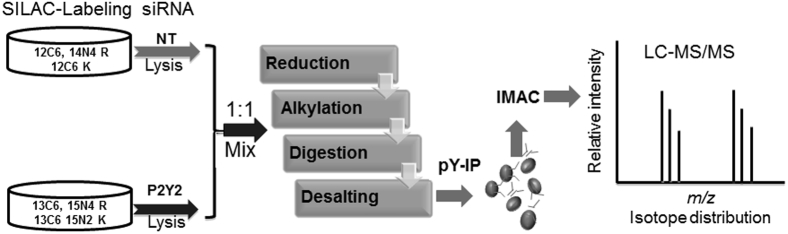 Figure 6