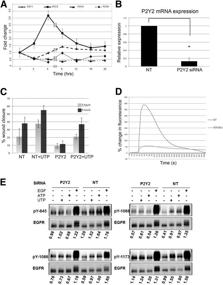 Figure 5