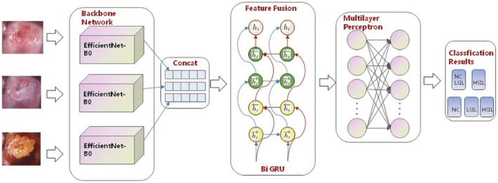 FIGURE 1