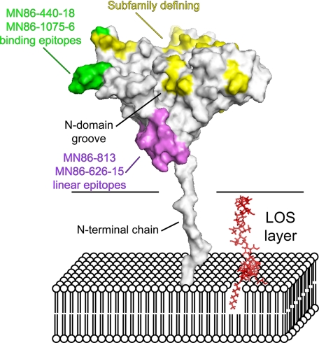 FIGURE 6.