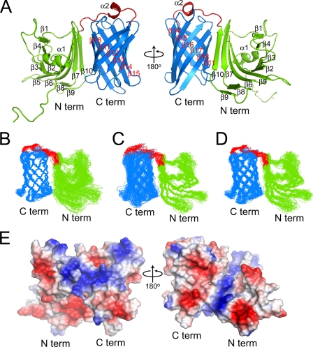 FIGURE 1.