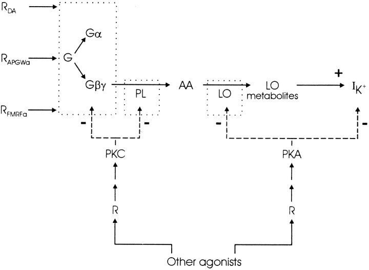 Fig. 10.