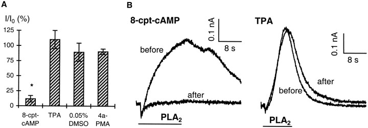 Fig. 8.