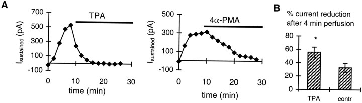 Fig. 9.