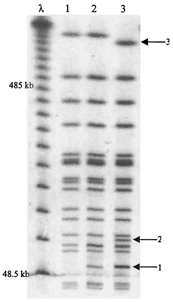 FIG. 3.