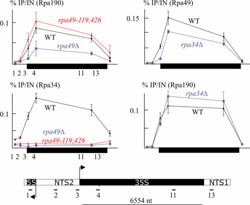 FIG. 2.