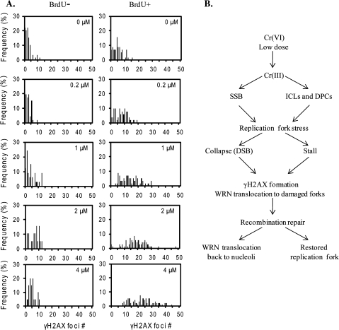 FIG. 7.