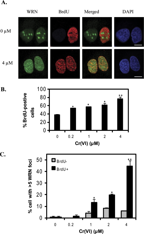 FIG. 6.