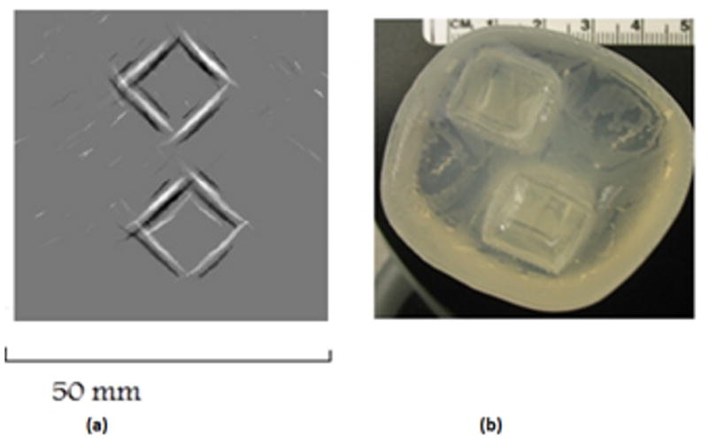 Fig 10