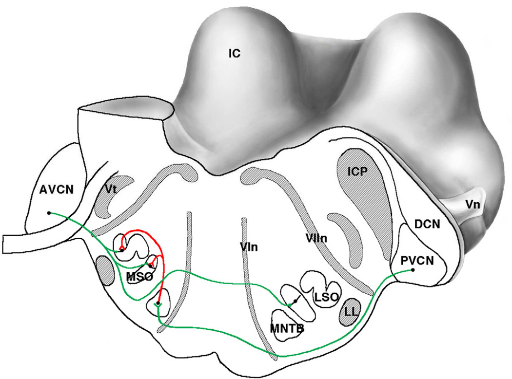 Figure 13