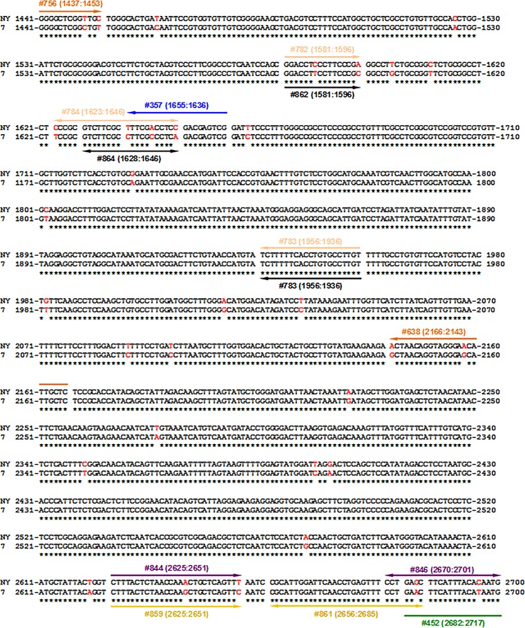 FIG 1