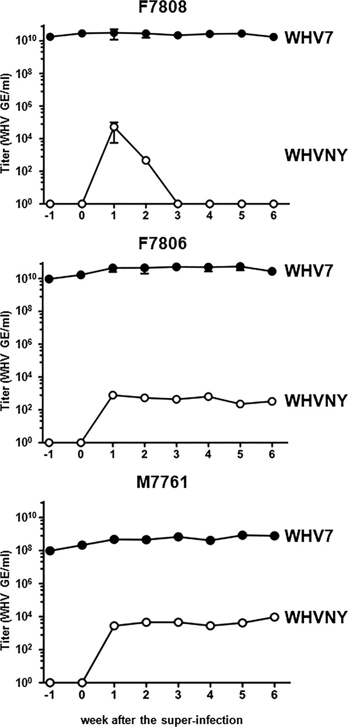 FIG 7