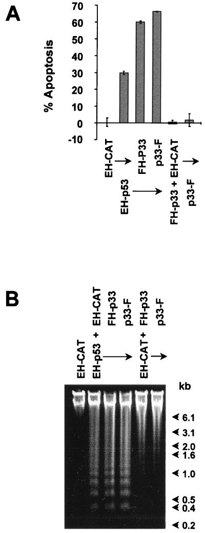 FIG. 8