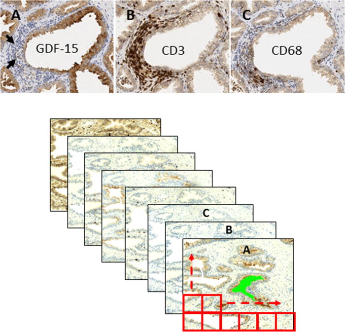 Fig. 3