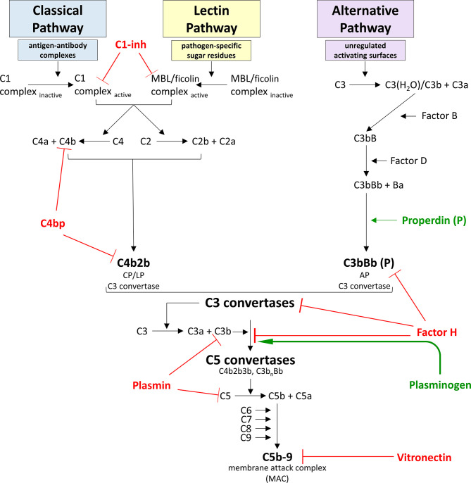 Figure 2