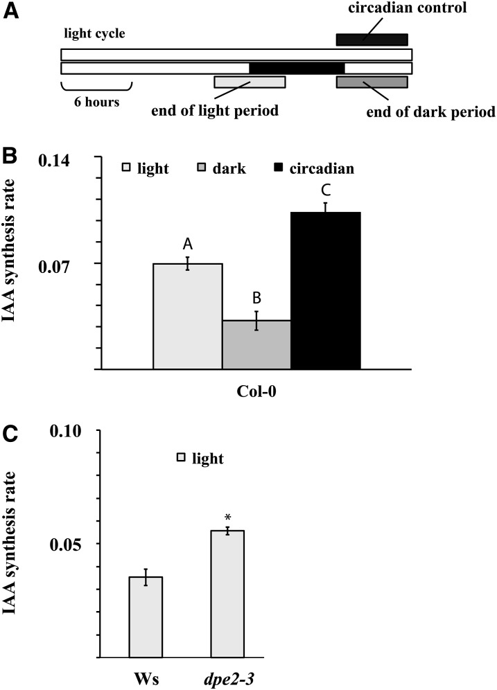 Figure 5.