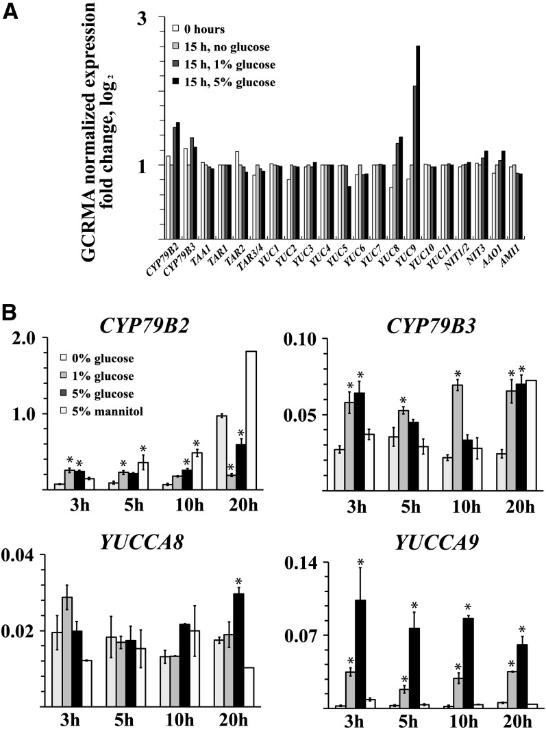 Figure 3.