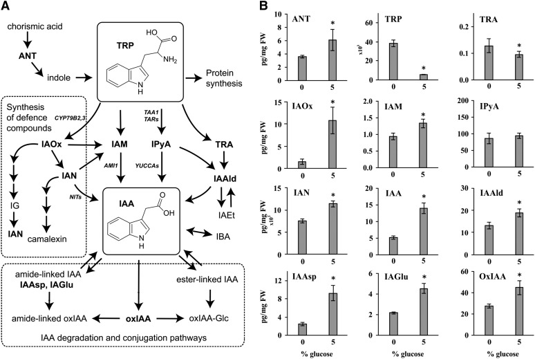 Figure 4.