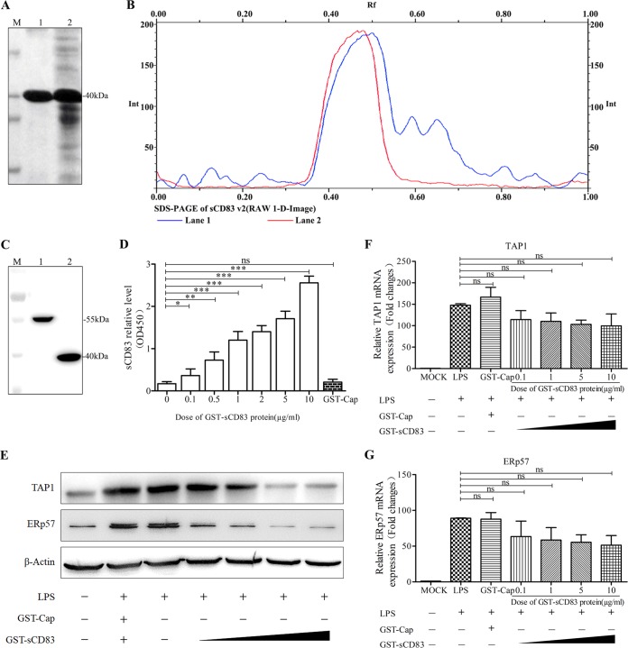 FIG 2