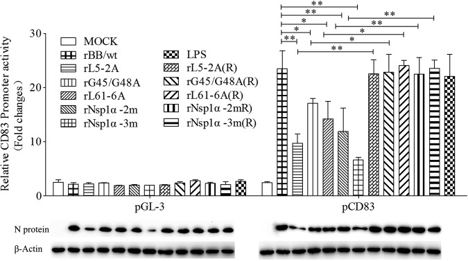 FIG 7