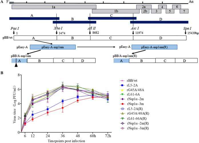 FIG 6