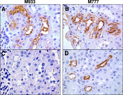 FIG. 6.