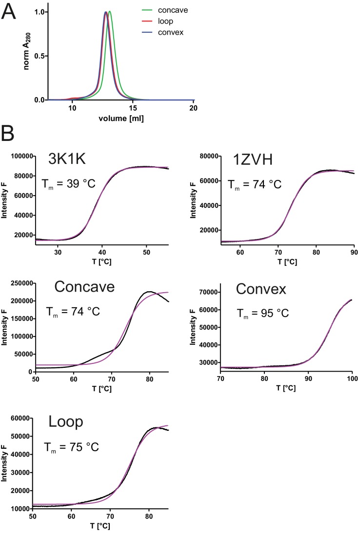 Figure 1—figure supplement 3.