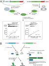 Figure 1—figure supplement 4.