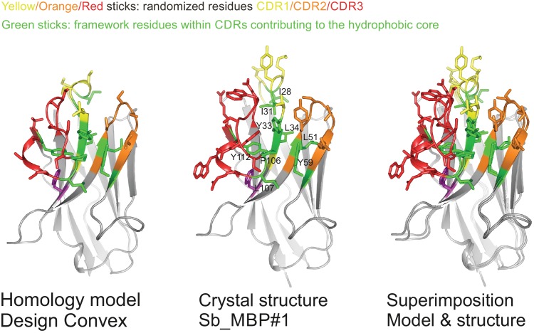 Figure 2—figure supplement 2.