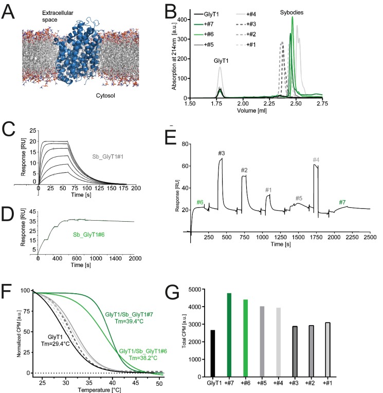 Figure 6.