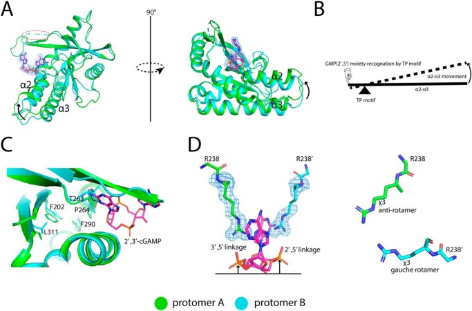 Figure 6.