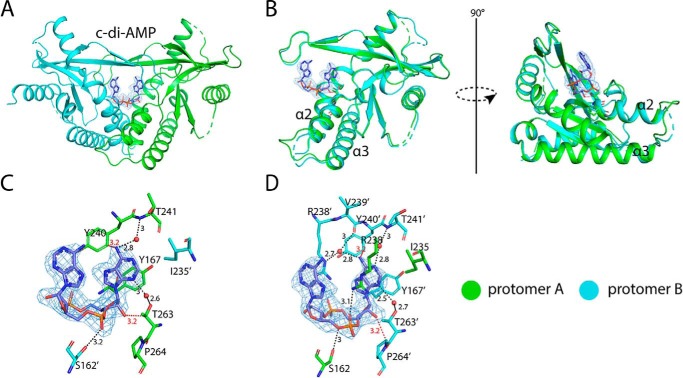 Figure 10.