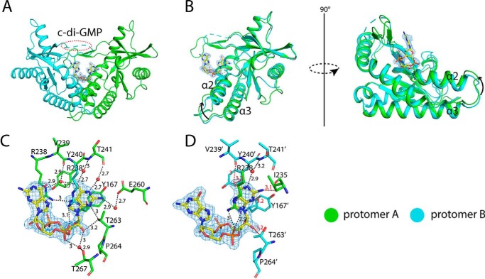 Figure 7.