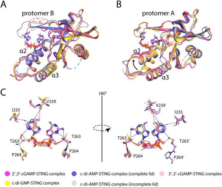 Figure 11.