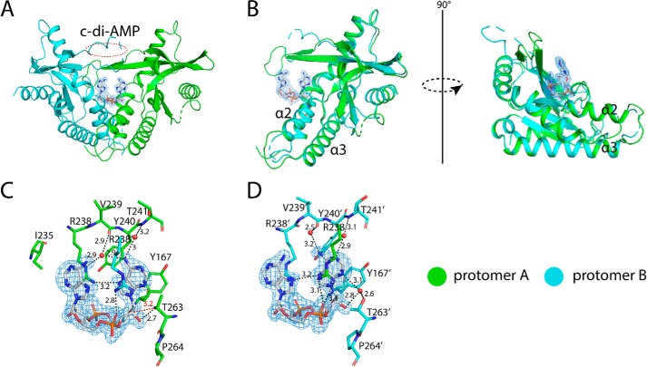 Figure 9.