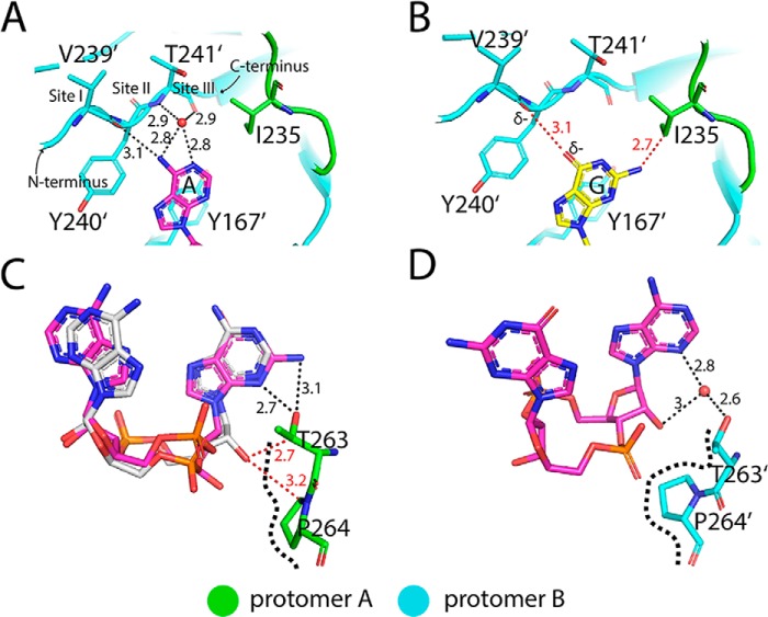 Figure 5.