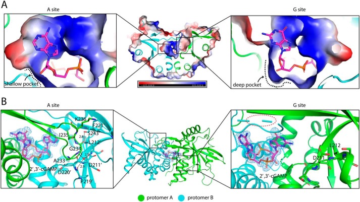 Figure 4.