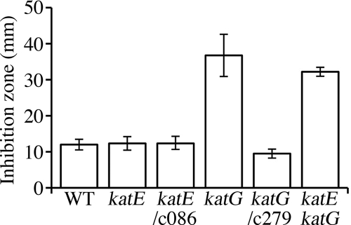 FIG. 2.