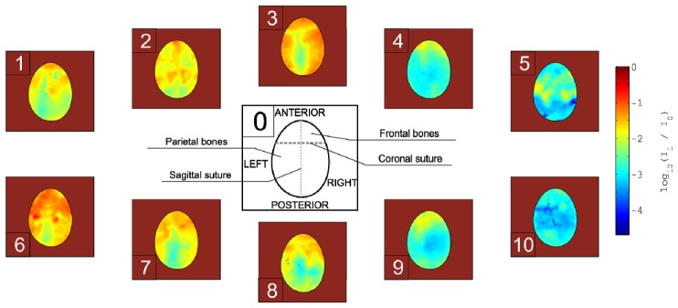 Fig. 2