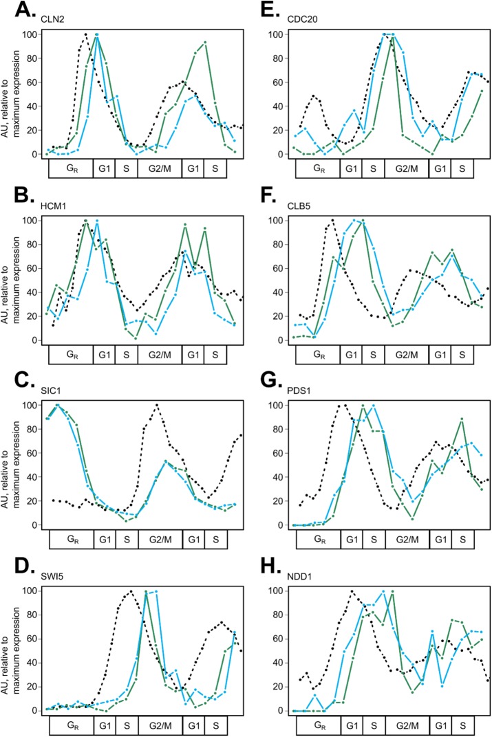 FIGURE 3: