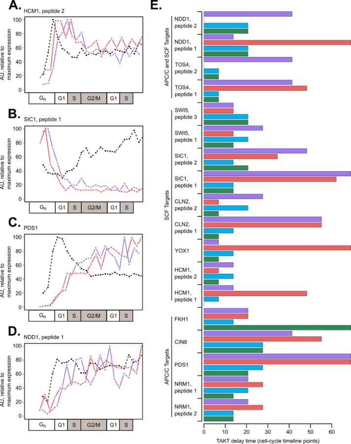 FIGURE 4: