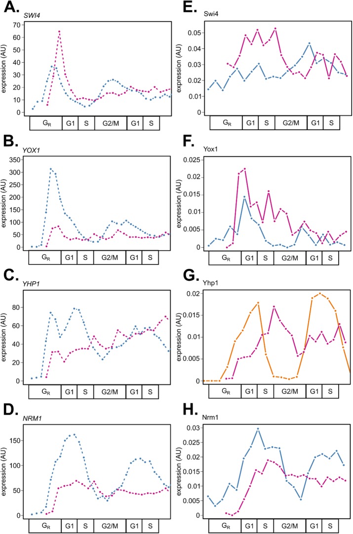 FIGURE 5: