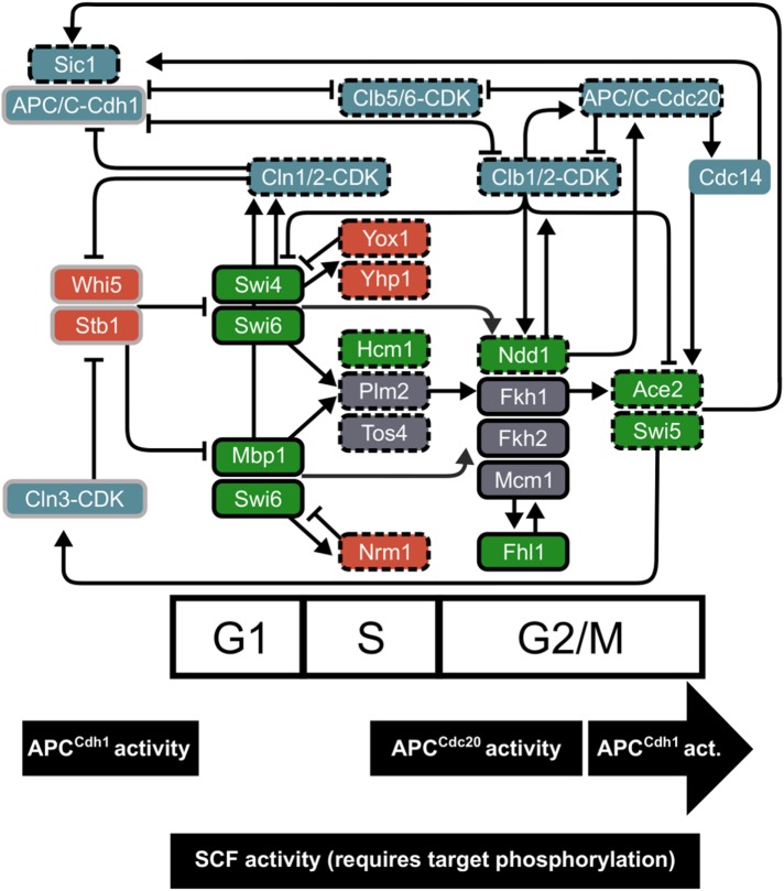 FIGURE 6: