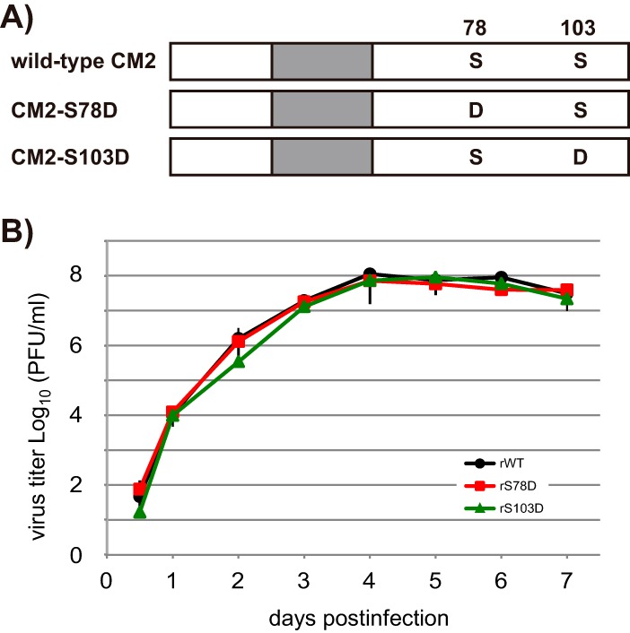 FIG 5