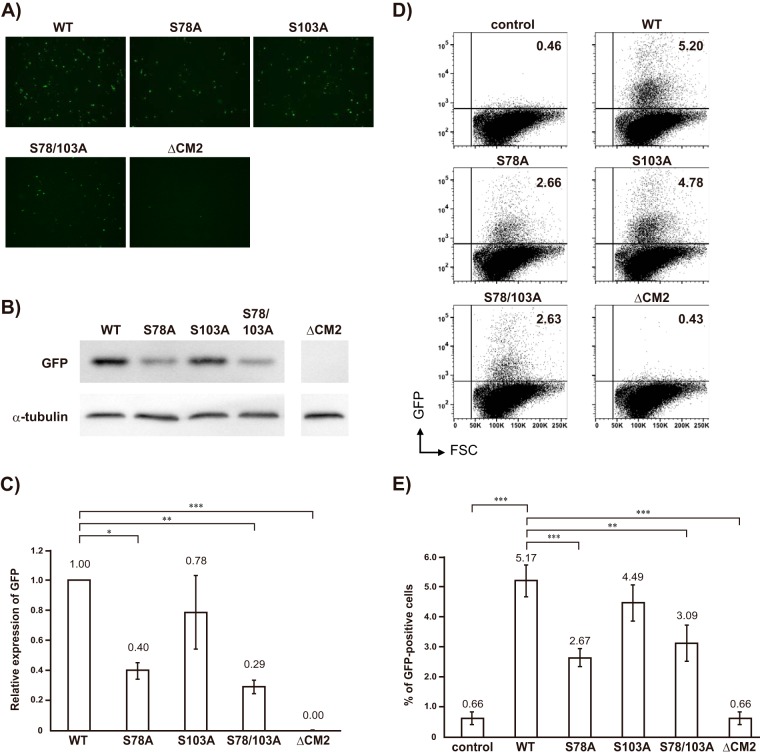 FIG 3