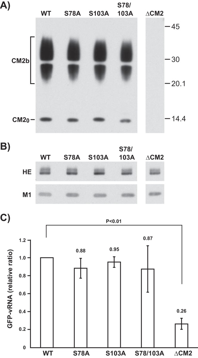 FIG 2